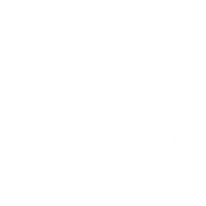 V Generation